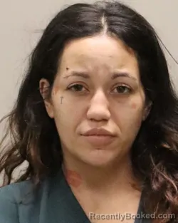 Mugshot of KASSANDRA VANESSA HEIMAN booked in Martin County, Florida on April 24, 2026