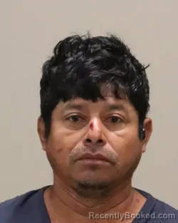 Mugshot of ANIBAL MARCIANO PALLACIOS booked in Martin County, Florida on June 24, 2026