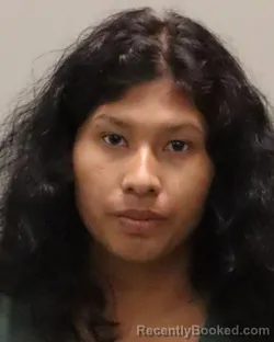 Mugshot of YESSICA CALDERON PIZANO booked in Martin County, Florida on July 19, 2026