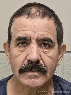 Mugshot of ANDRES LARA IBARRA