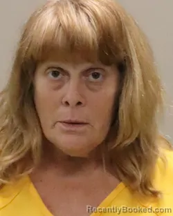 Mugshot of NATASHA HAYDEN HILGER