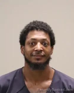 Mugshot of BRIAN ALEXANDER FUNDERBURK