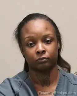 Mugshot of RAVEN RASHONDRA JOLLY booked in Martin County, Florida on April 28, 2026