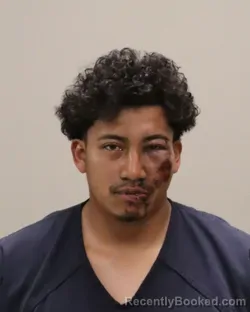 Mugshot of LUIS ARTEMIO FRANCISCO