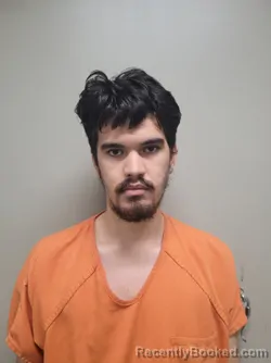 Mugshot of JEROME EDWARD BOROWSKI booked in Martin County, Florida on March 20, 2026