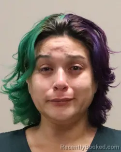 Mugshot of CELIA ESMERELDA DELGADO booked in Martin County, Florida on April 24, 2026