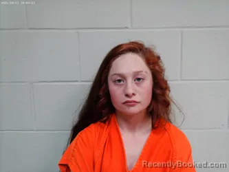 Mugshot of SAVANHAH NICHOLE BURNS booked in Shackelford County, Texas on March 29, 2026