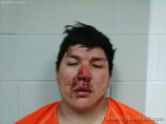 Mugshot of RANDALL ERICSON HOLIDAY