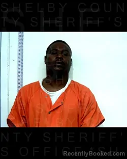 Mugshot of SEDARRIN NOBLES