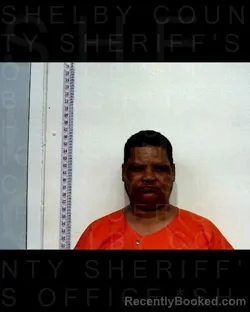 Mugshot of DAREL MCMILLON