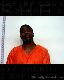 Mugshot of TIMOTHY JOHNSON booked in Shelby County, Texas on March 25, 2026