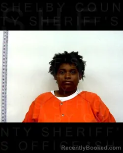 Mugshot of BRIANNA MONAE PIER booked in Shelby County, Texas on April 21, 2026