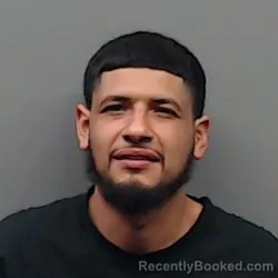 Mugshot of CRISTIAN RAMON LANAS