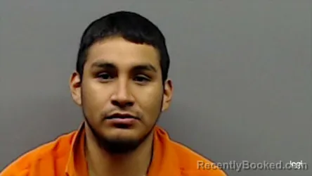 Mugshot of MARTIN ROMAN TORRES