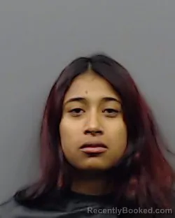 Mugshot of JOHANA RENTERIA booked in Smith County, Texas on March 20, 2026