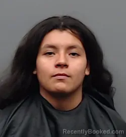 Mugshot of BREANNA HERNANDEZ booked in Smith County, Texas on May 29, 2026