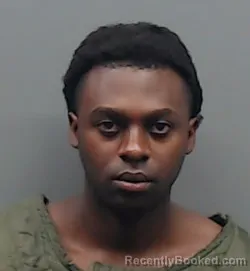 Booking photo from Smith County, Texas