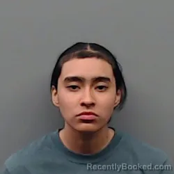 Mugshot of ASHLEY MARISOL RAMOS booked in Smith County, Texas on March 8, 2026