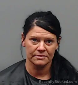 Mugshot of ASHLEY ANNE VIERS booked in Smith County, Texas on March 25, 2026