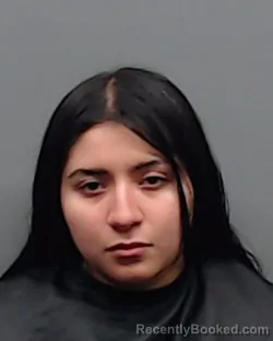 Mugshot of STEPHANIE DENISE HERNANDEZ booked in Smith County, Texas on June 5, 2026