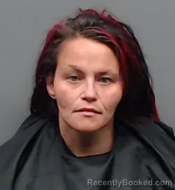 Mugshot of TIFFANY YVONNE LEE booked in Smith County, Texas on May 30, 2026