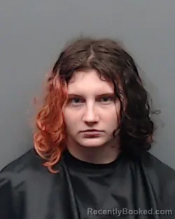 Mugshot of KRYSTAL NICOLE WILLIAMSON booked in Smith County, Texas on April 22, 2026