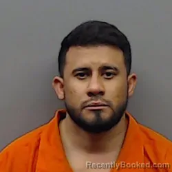 Mugshot of LUIS OVIEDO-RICO