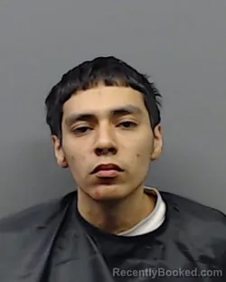 Mugshot of ALXS ZAVALA