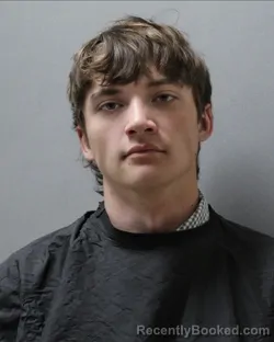 Mugshot of JOHN JOHNSTON