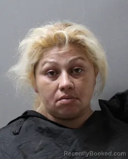 Mugshot of LAURA LUNA booked in Stephens County, Texas on April 30, 2026