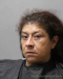 Mugshot of Alma Navarro booked in Stephens County, Texas on August 7, 2026