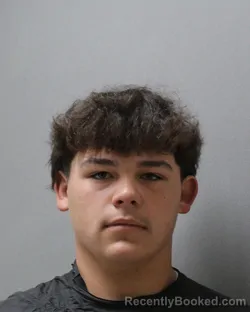 Mugshot of OLIZIAH JACE REYES