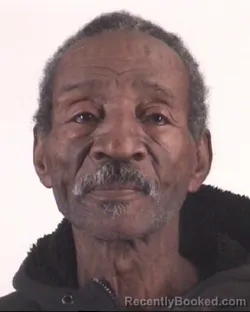 Mugshot of LEE MITCHELL