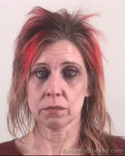 Mugshot of SHARON COLVIN