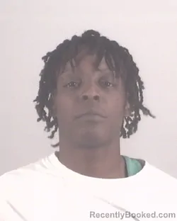 Mugshot of TIFFANY GIBBS