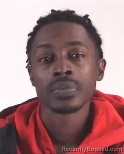 Mugshot of DOMINIQUE LEE