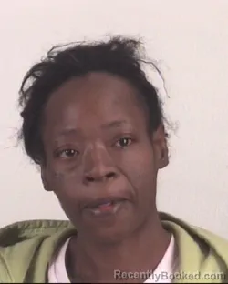 Mugshot of BRENDA KING