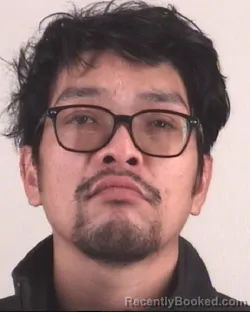 Mugshot of VIET PHAM