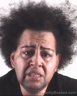 Mugshot of TIFFANY JOHNSON