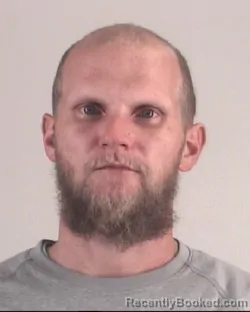 Mugshot of MICHAEL RICHARDSON