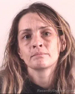 Mugshot of ROBYN JAMES