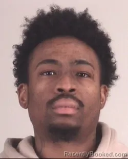 Mugshot of NIKKI JOHNSON