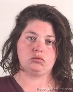 Mugshot of HEATHER HICKEY