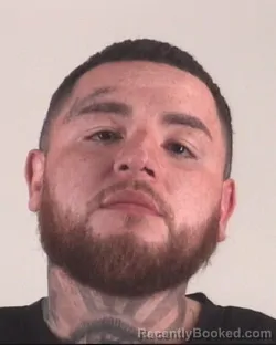 Mugshot of JABIER ESTRADA