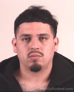 Mugshot of JOAN GONZALEZ