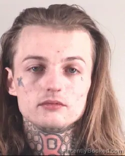 Mugshot of ZACHARY LEDGER