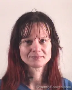 Mugshot of KRISTA PERKINS booked in Tarrant County, Texas on April 2, 2026