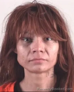 Mugshot of RACHEL MEDICINEELK booked in Tarrant County, Texas on March 27, 2026