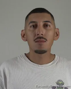 Mugshot of Fernando Vergara