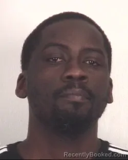 Mugshot of NICK SHAMALA